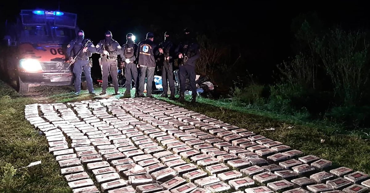 Unglaubliche Geschichten aus den regnenden Kokainfeldern: Markierungen auf dem Boden und seltsame Geräusche in der Nacht