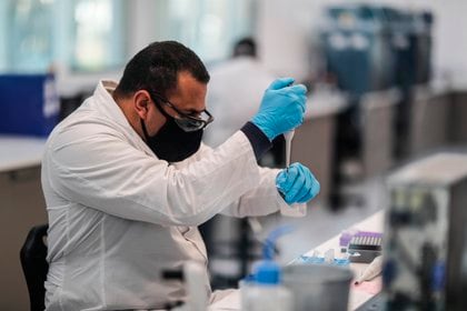 Trabajadores del laboratorio mAbxience, elegido por AstraZeneca para la producción en Latinoamérica de la vacuna contra el COVID-19. EFE/Juan Ignacio Roncoroni/Archivo
