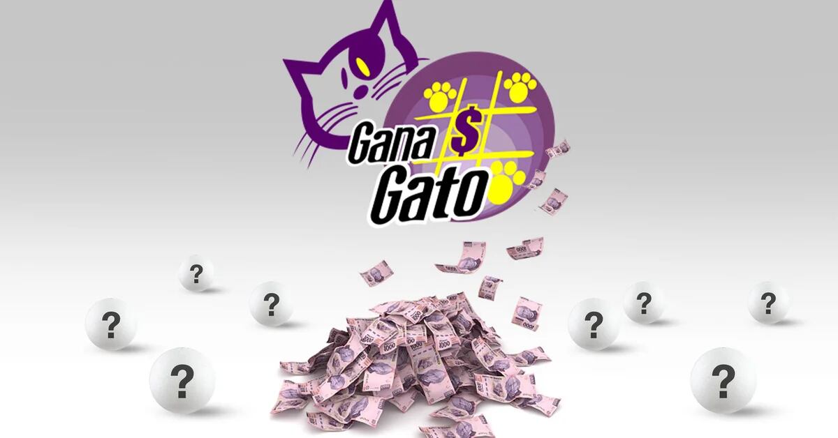 National Lottery: where to see the Gana Gato live and the list of results