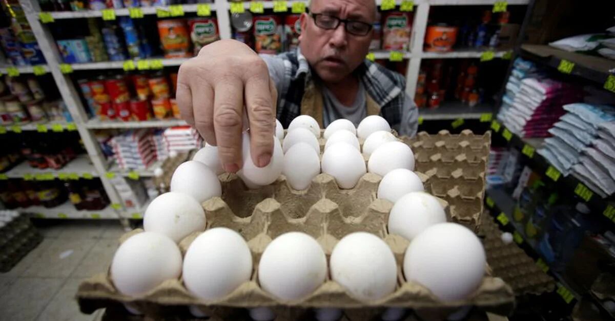 Headline inflation moderated to 7.76%, but egg and chicken prices continued to rise