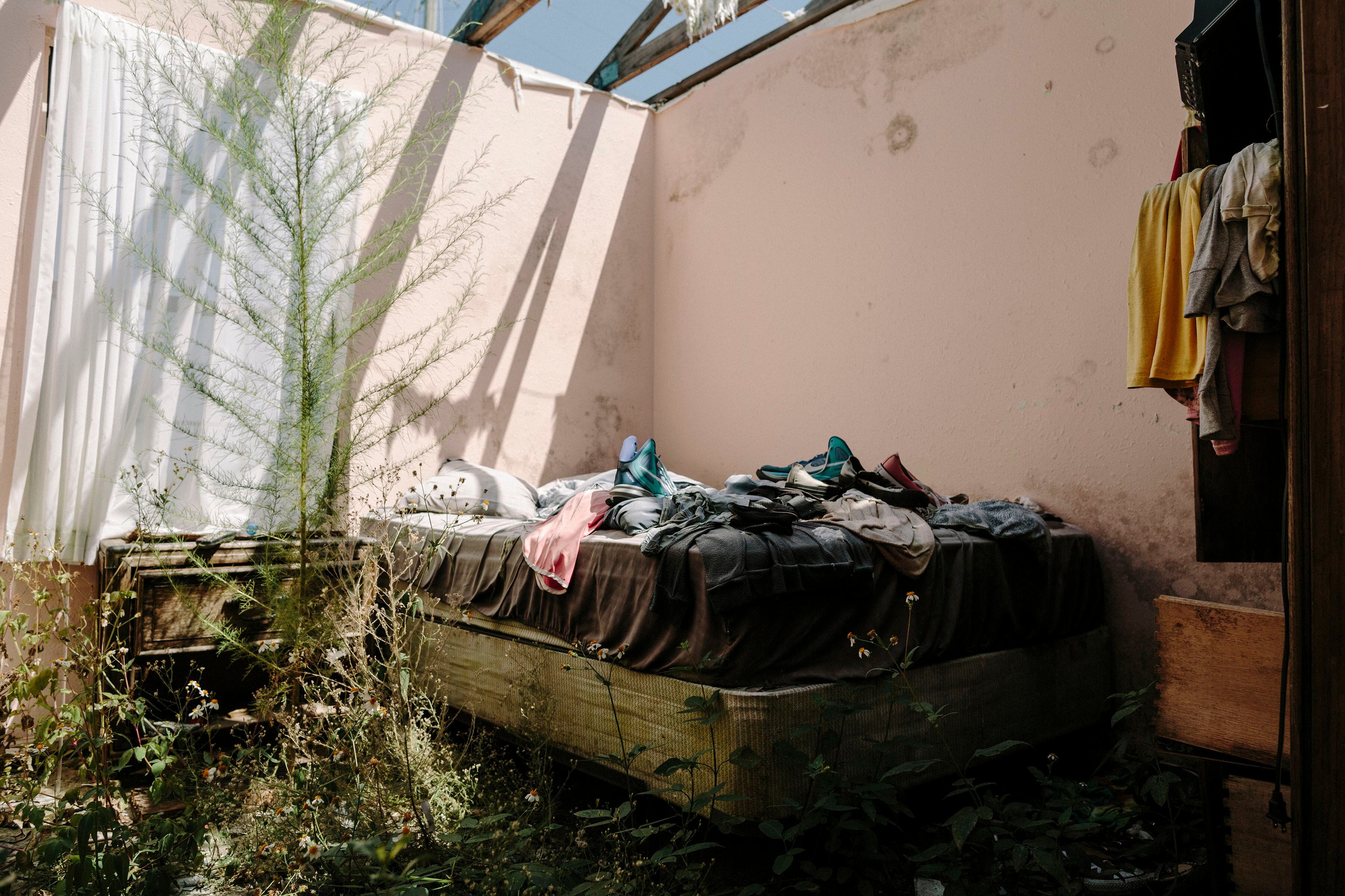 Las malezas y el moho crecen en la habitación sin techo de una casa dañada el año pasado por el huracán Michael, en Callaway (William Widmer/The New York Times)