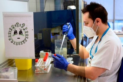 Un técnico de laboratorio del Hospital Pío del Rio Hortega de Valladolid, analiza pruebas PCR - EFE/Nacho Gallego
