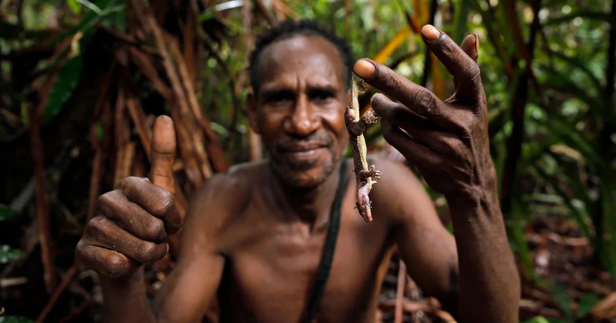 Wie die Korowai leben, ein Stamm in West-Papua mit kannibalischen Ritualen