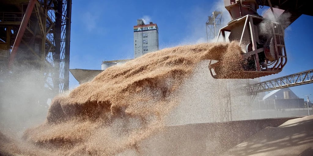Venta de granos al exterior: cuáles son la cerealeras que más exportan desde Argentina - Infobae