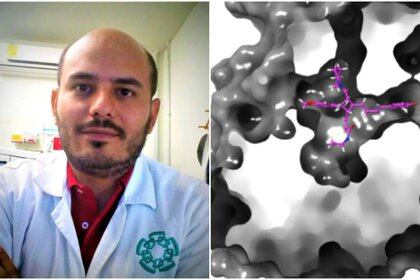 Juan Vázquez Martínez, egresado del Cinvestav encontró que este tipo de compuestos biológicos se han estudiado como bactericidas, fungicidas, antiinflamatorios, anestésicos e incluso antivirales Fotos: Cinvestav