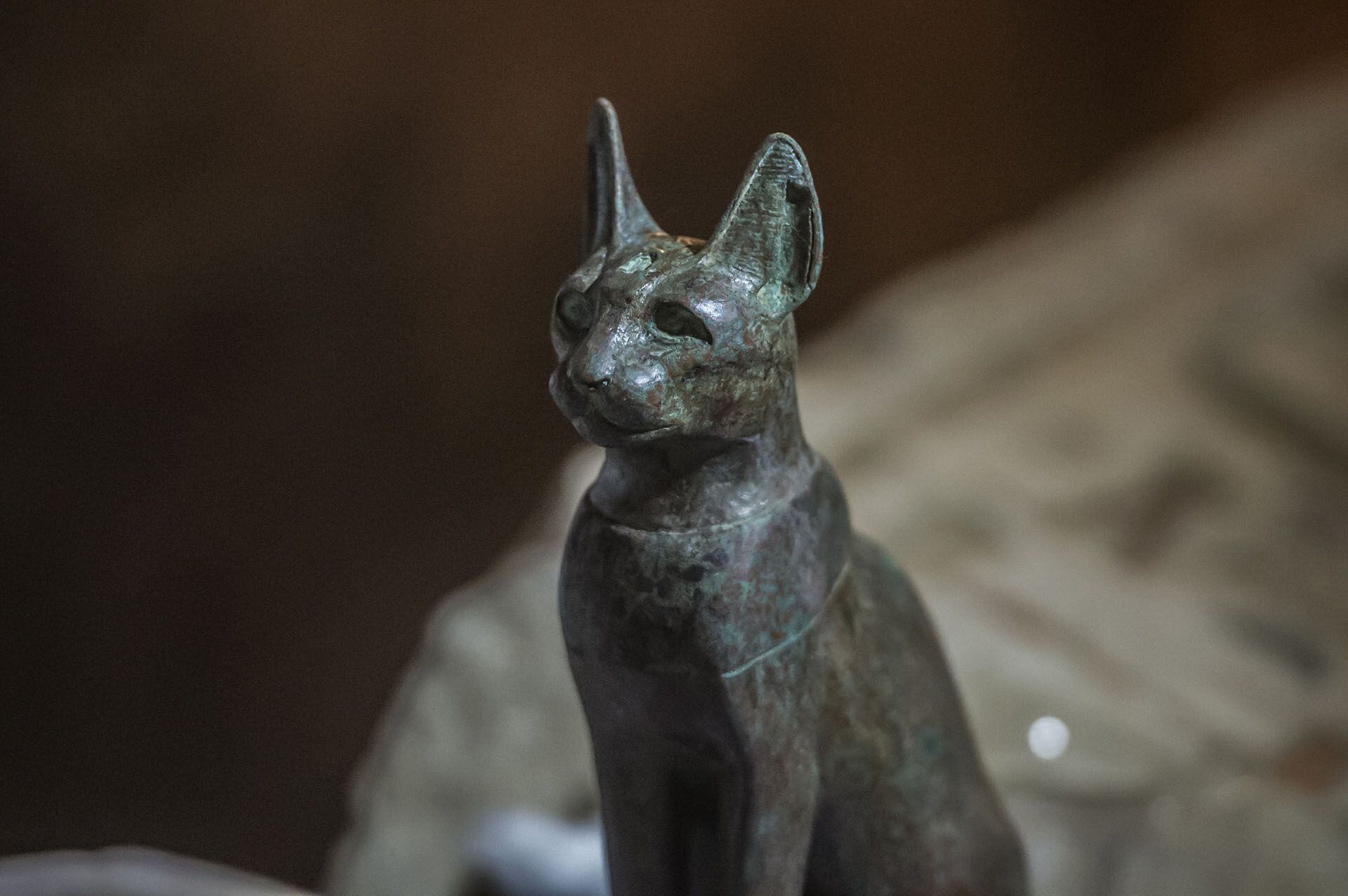 Egipto_descubrimiento arqueologico_Estatuas Gatos