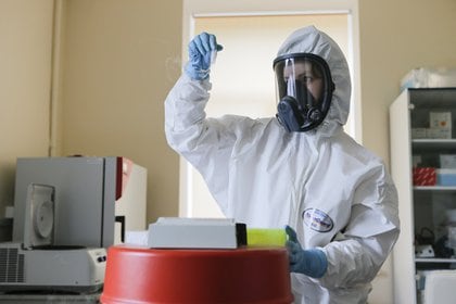 Una investigadora trabajando en el laboratorio de la vacuna rusa 
FIDR
