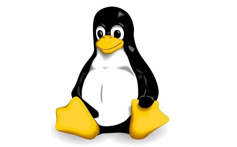 Schleswig-Holstein fue el primer estado en cambiar sus sistemas operativos. (Linux)