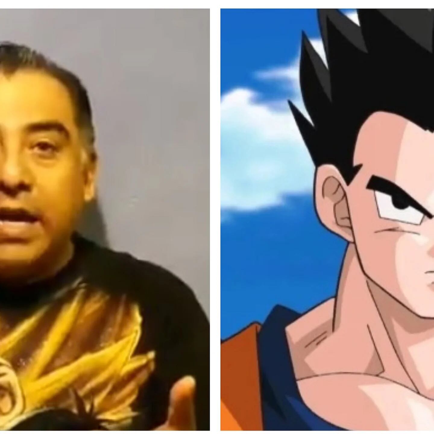 Dragon Ball – Luis Alfonso Mendoza, dublador latino de Gohan é