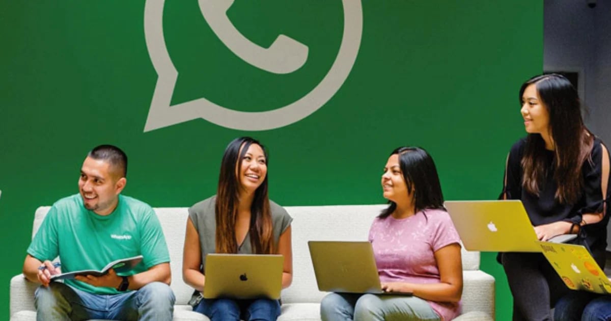 WhatsApp opens job opportunities: How to apply and what careers they are looking for