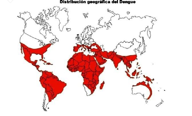 Cada vez más países son alcanzados por el dengue y otras enfermedades tropicales (UN)