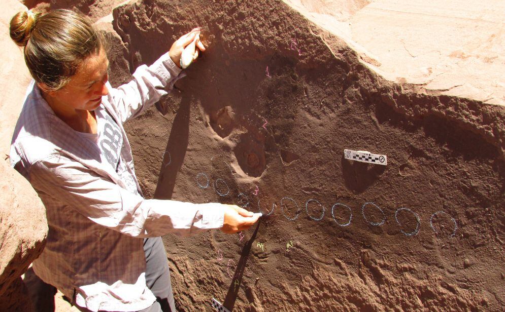 paleontólogos conicet descubrimiento fósiles pequeños animales La Rioja