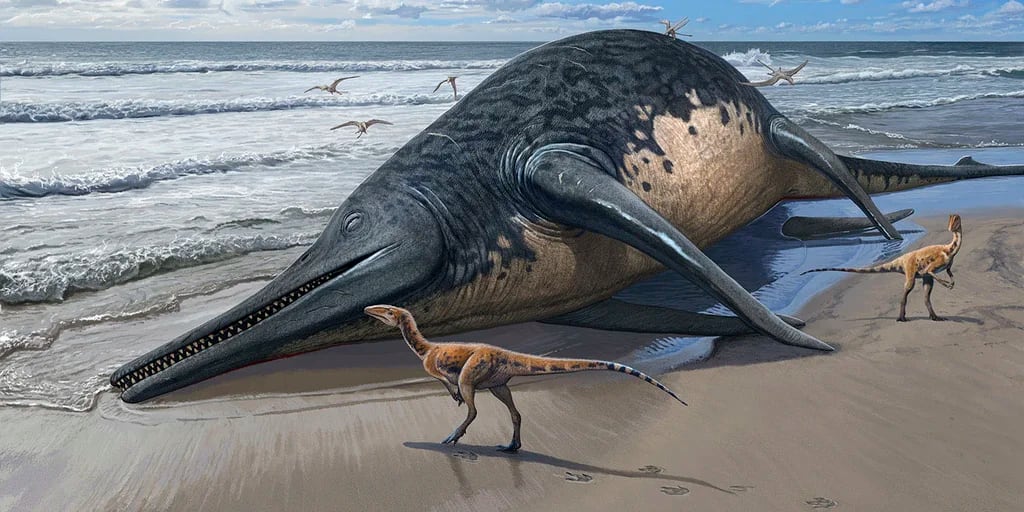 Una niña de 11 años encontró el fósil de una mandíbula del reptil marino más grande del mundo