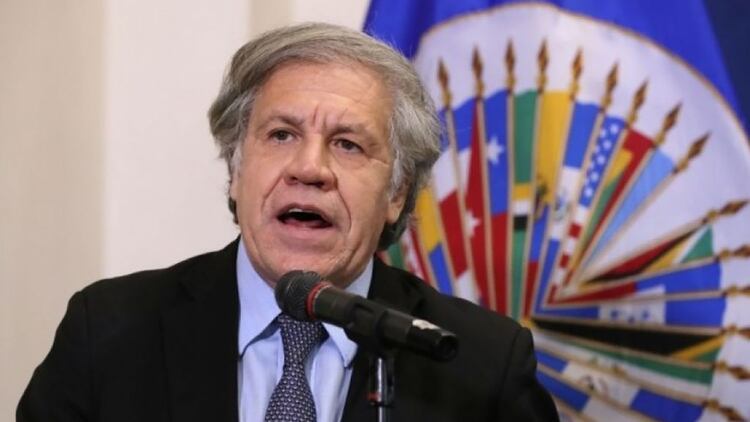 Luis Almagro fue reelegido al frente de la OEA como secretario general por otros cinco años (Reuters)