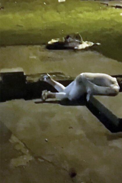 La mujer que se ve inconsciente en el piso se encuentra bien, según explicó el usuario de compartió el video en Reddit (Foto: Captura de pantalla video Reddit/ RickyMeme) 