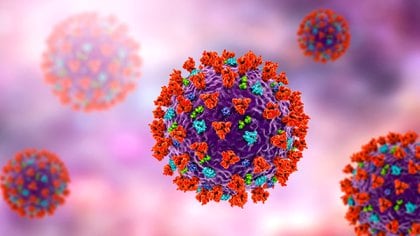 "Tenemos que detener la replicación del virus y eso significa lanzar la vacuna más rápido", opinó Ho (Shutterstock)