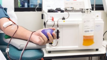 La utilización de plasma inmune de pacientes convalecientes se trata de un tratamiento de inmunización pasiva, por el que se le otorga al paciente los anticuerpos que otra persona recuperada generó (Shutterstock)