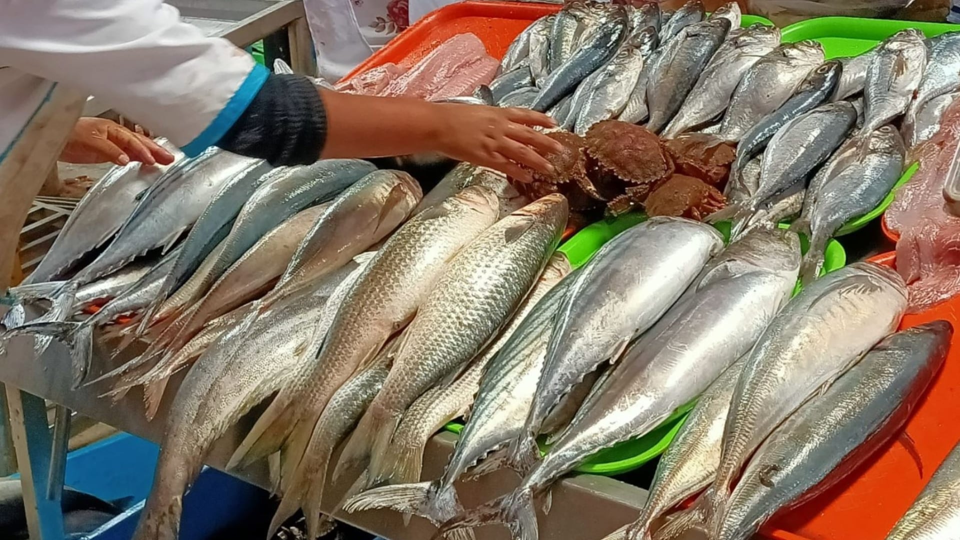 La Semana Santa en Perú marca un cambio en la dieta hacia el consumo de productos marinos, impulsando una importante actividad comercial en los mercados de pescados y mariscos. (Andina)
