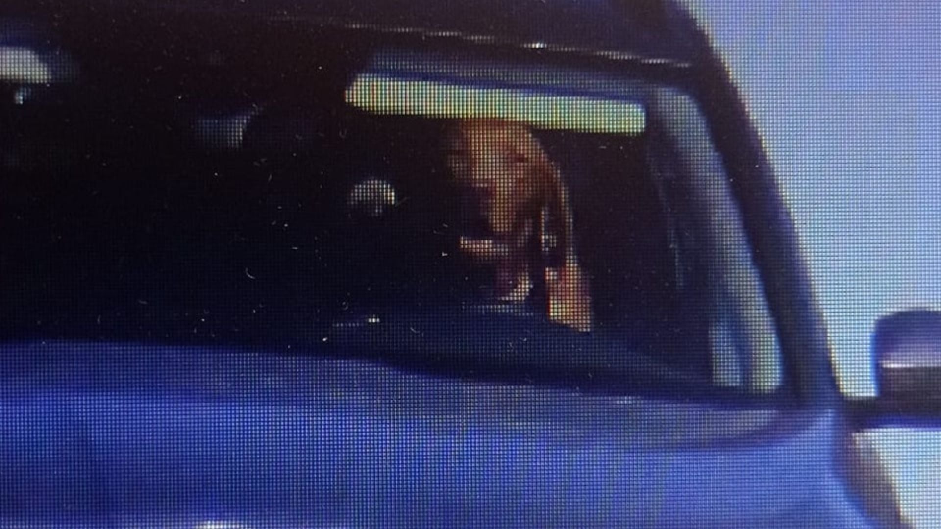 Las cámaras de seguridad lograron captar al perro muy sonriente en el lado del piloto (Facebook Polícia SR - Trnavský kraj)