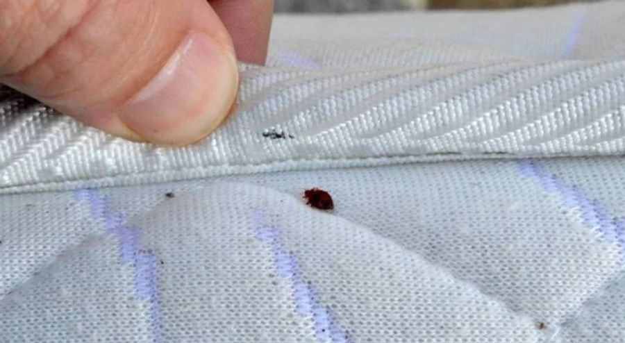 البدائل تعني أنه عليك التخلص من الكراسي ذات الذراعين الخاصة بك.  (الصورة: أرشيف الويب)