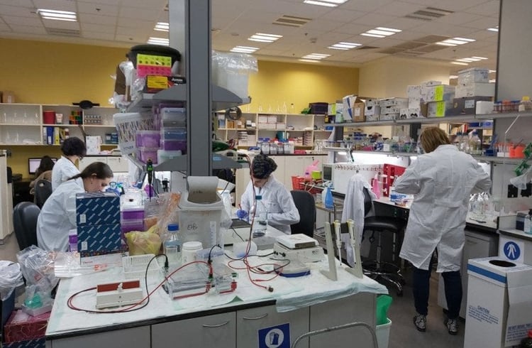 El equipo de biotecnología MIGAL está trabajando en una vacuna para COVID-19. (Foto: cortesía MIGAL)