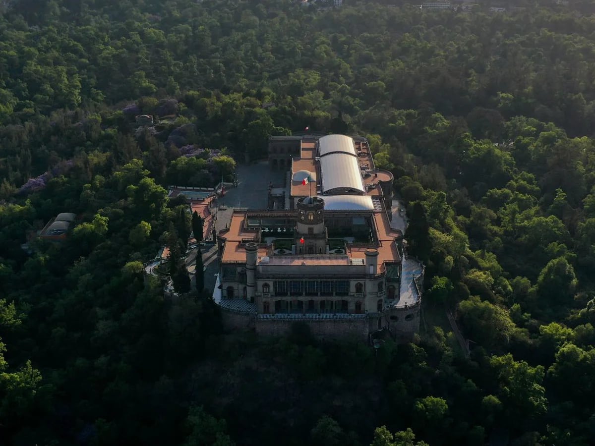 Lejos de la opulencia y cerca del arte: así es la casa de Carlos Slim en  las Lomas de Chapultepec - Infobae