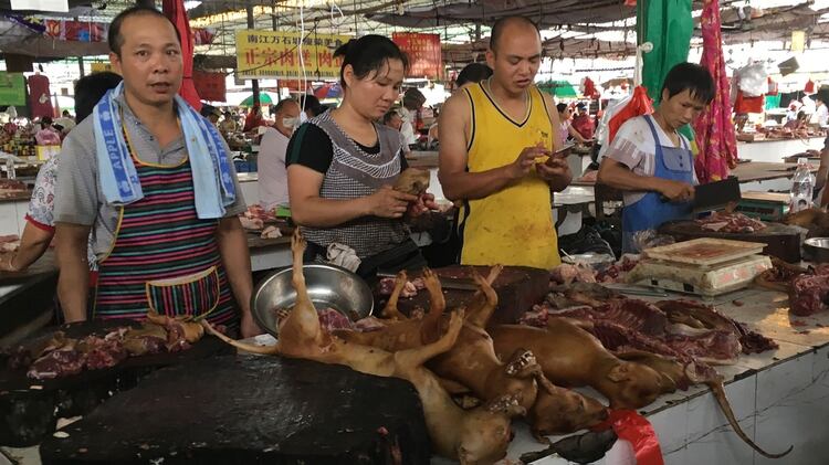 Los animales se cocinan y se sirven como guisos, típicamente acompañados de fruta de lichi, en cientos de restaurantes en toda la región. (AFP)