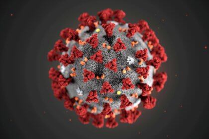 El coronavirus emergió a fines de 2019 en China y ya causó 107 millones de infeccines - REUTERS.  