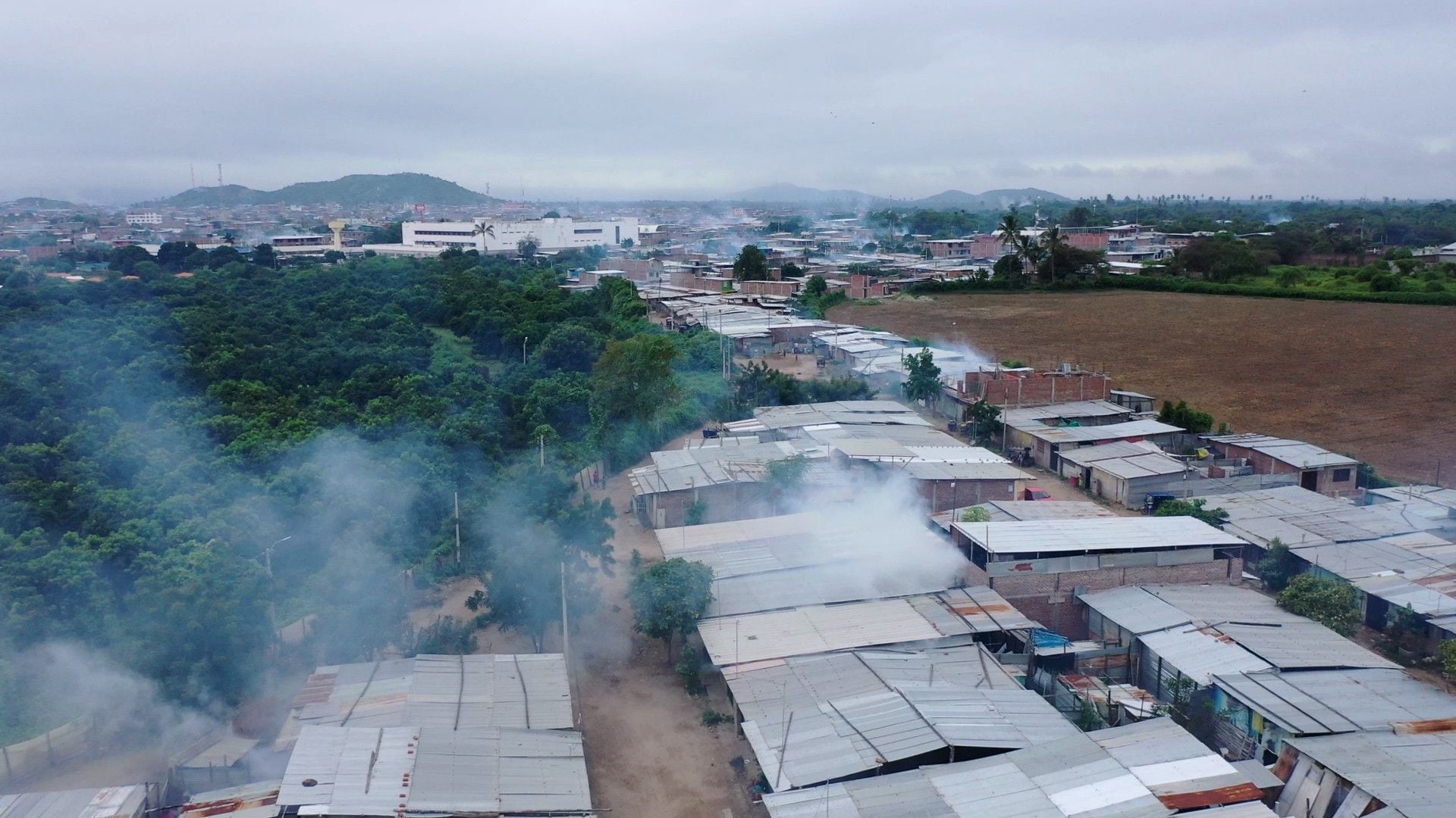 Siguen las jornadas de fumigación en Piura para frenar el avance del dengue. (Andina) 