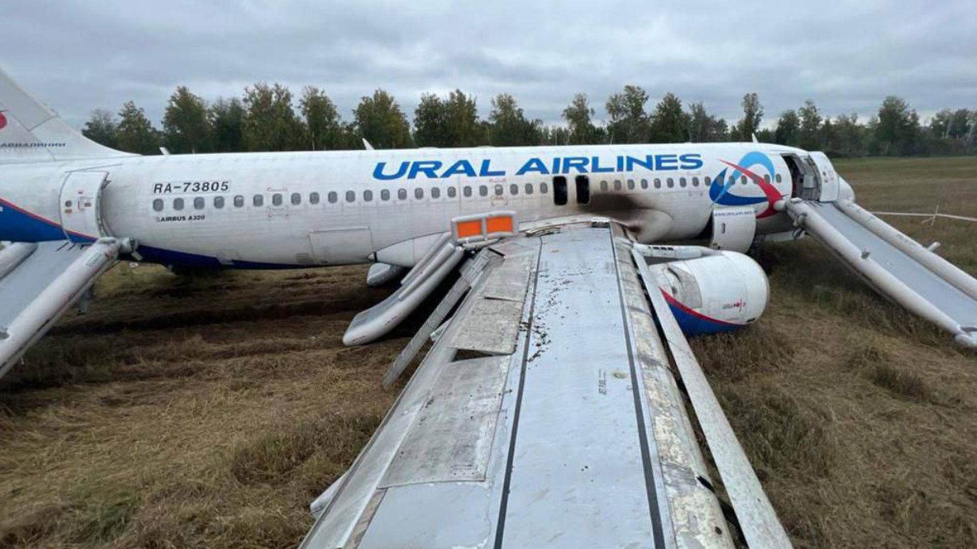 El avión aterrizó de emergencia en un campo