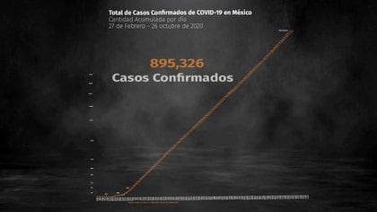La SSa informó que a este lunes 26 de octubre se habían registrado 895,326 casos positivos y 89,171 muertes por COVID-19 (Foto: Steve Allen)