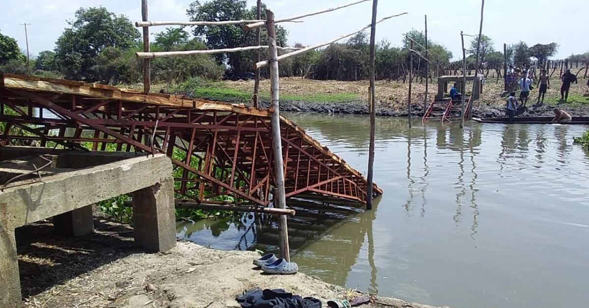 25 children injured after the collapse of a bridge in poor condition in Magdalena