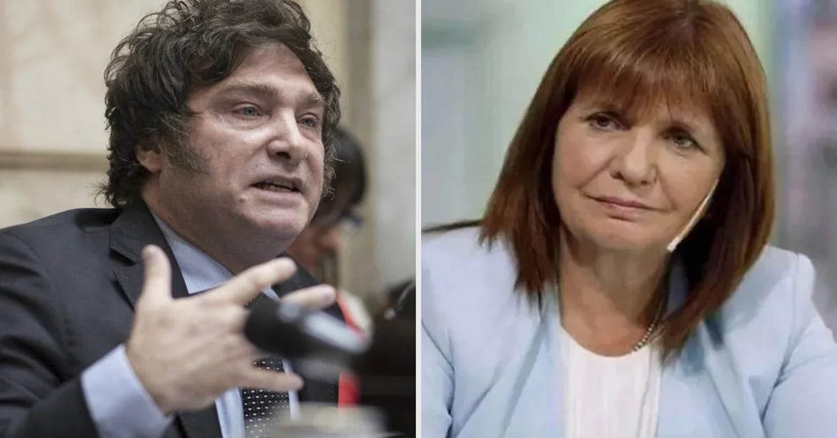 Javier Milei offers to go on an internship with Patricia Bullrich: “Whoever wins leads and whoever loses accompanies”
