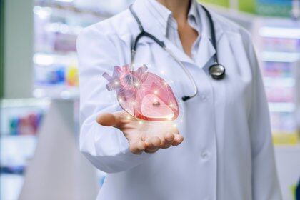 Las enfermedades cardiovasculares son en todo el mundo la primera causa de muerte (Shutterstock)