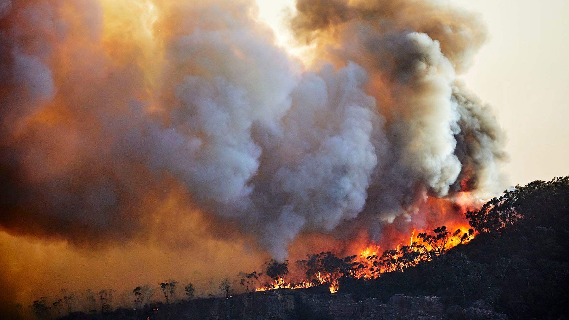 El informe descubrió que los países de todo el mundo no reportan sus emisiones de gases de efecto invernadero, y que las verdaderas emisiones son entre un 16 y un 23 % más altas (Getty Images)