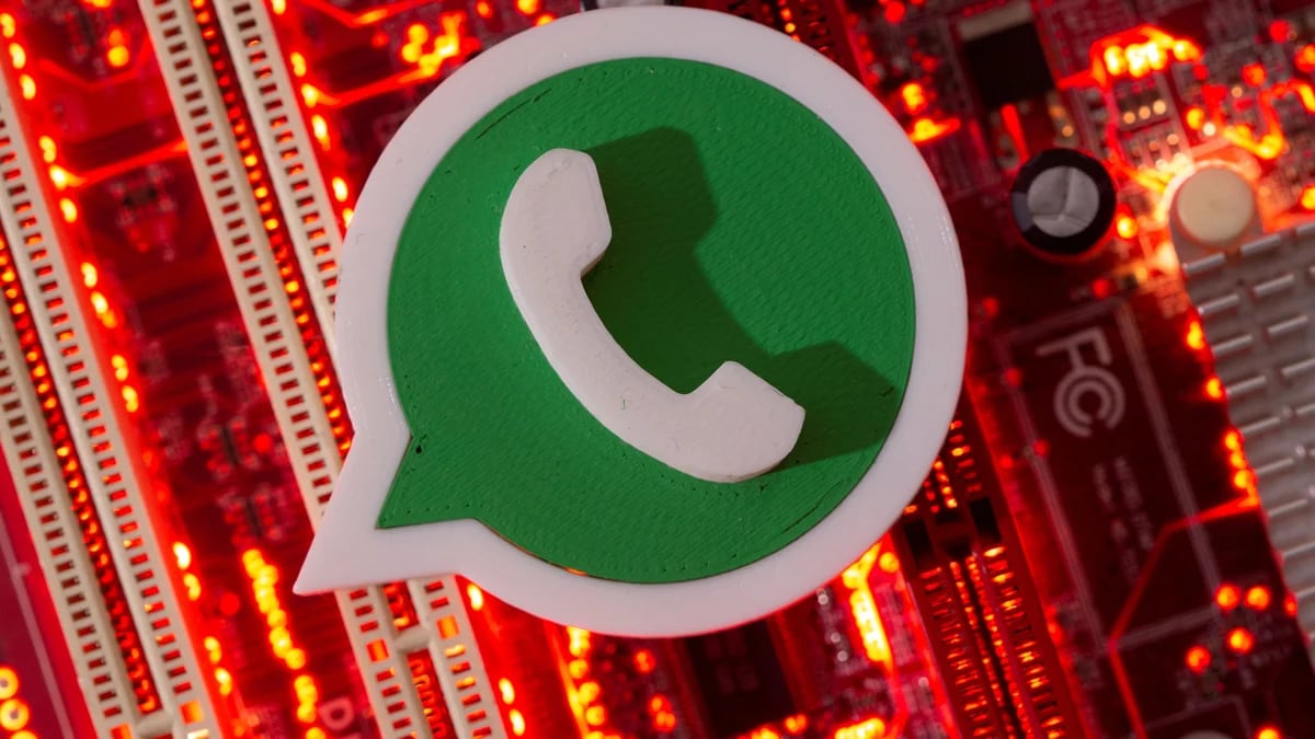 WhatsApp: cuáles son los cambios que deberán aceptar los usaurios para seguir usando la aplicación
