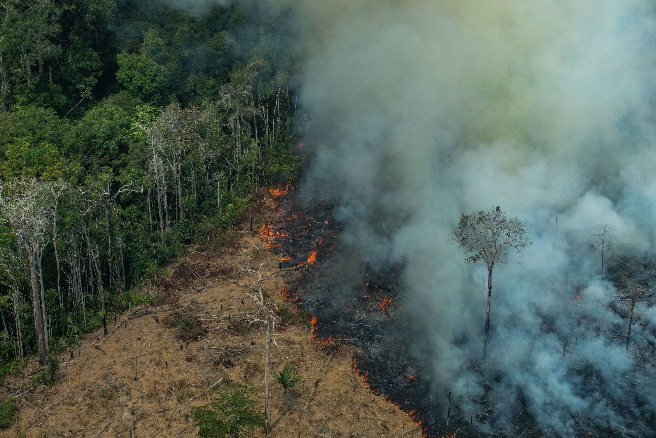 El cambio climático, un factor que acelera la pérdida de la biodiversidad