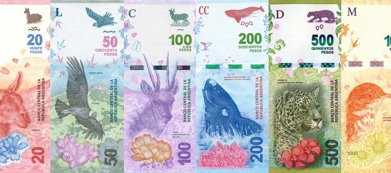 El billete de $500 tiene impreso un Yaguareté, en referencia a la Región Noreste del país