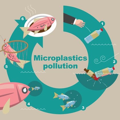 Evolución de la polución que producen los microplásticos (Shutterstock)