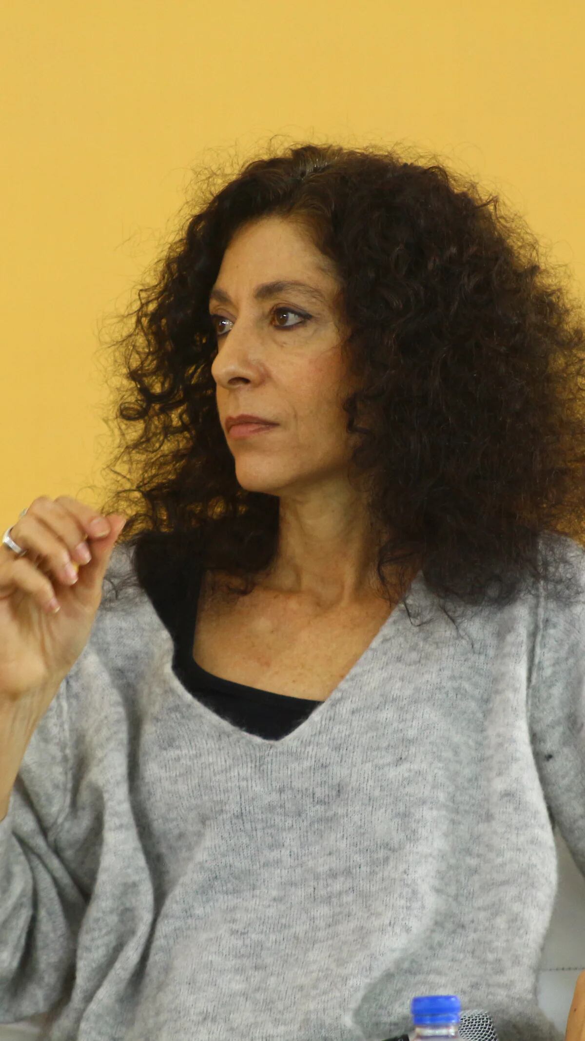 Leila Guerriero: El consentimiento sería difícil de entender hace 15 años
