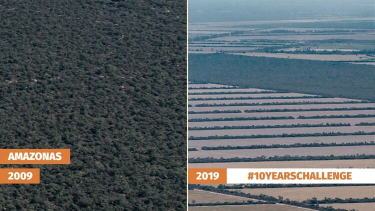 El Amazonas antes y después de la deforestación. (Greenpeace)