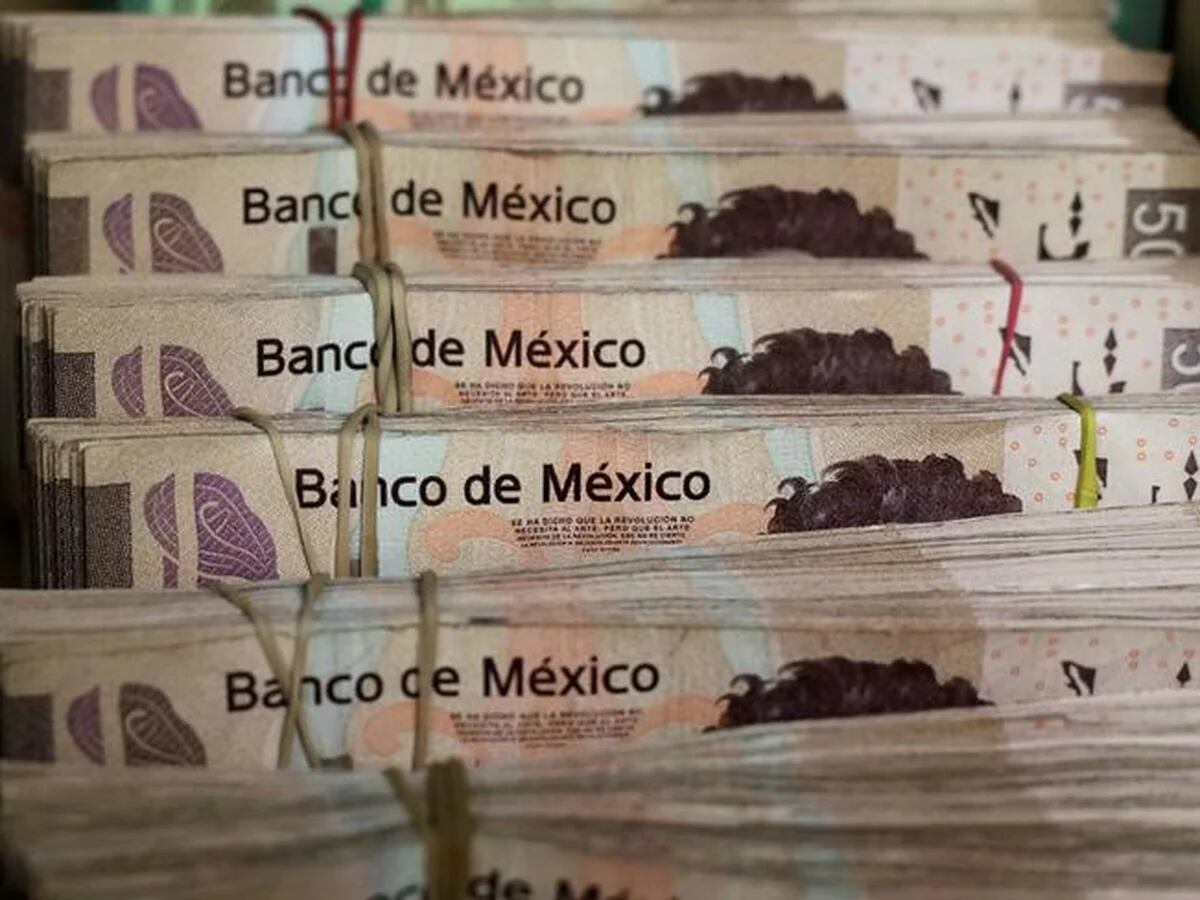 El dólar rebasó los 25 pesos en bancos, nuevo máximo histórico; mientras la  Bolsa Mexicana cayó 2.49% - Infobae