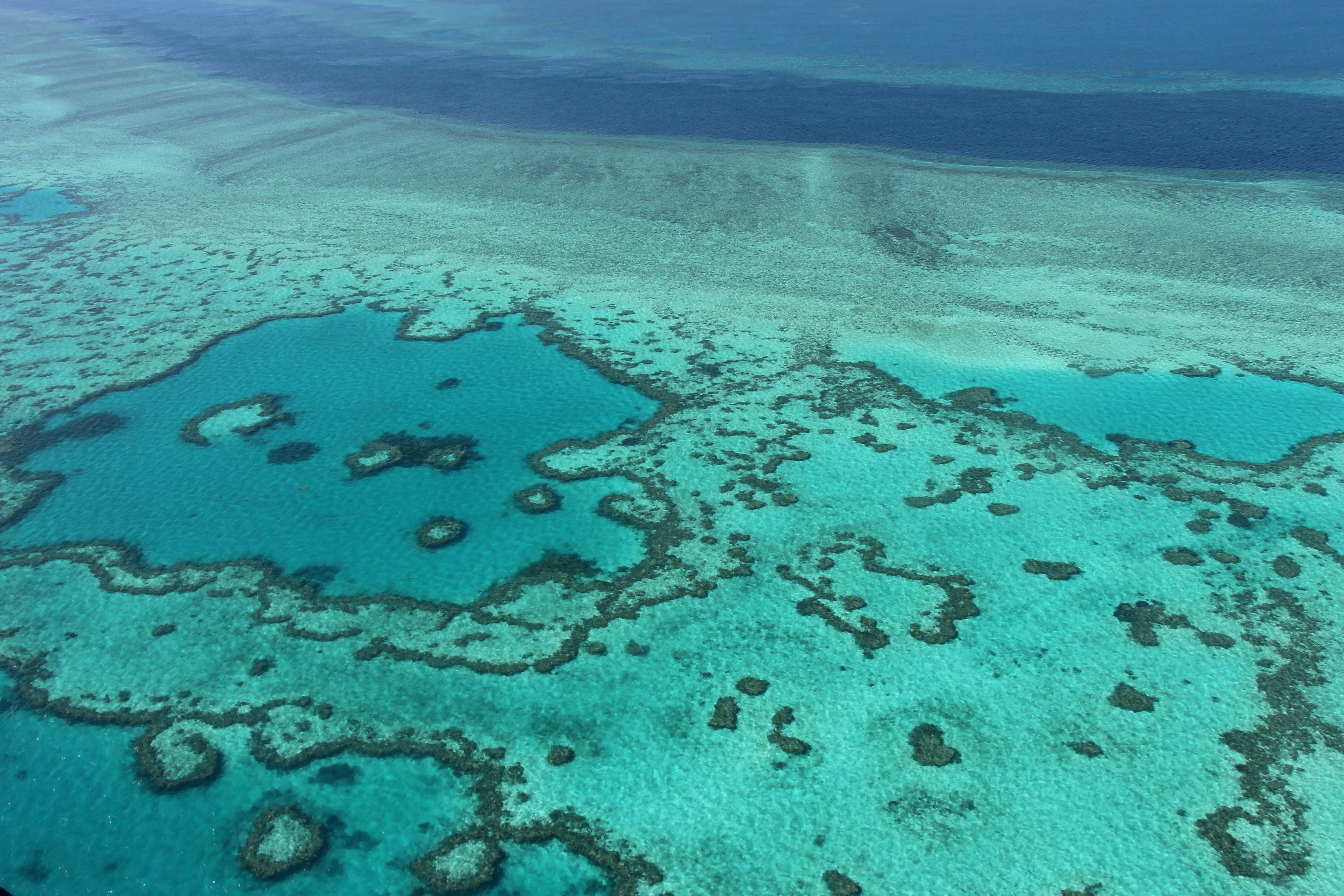 La Gran Barrera de Coral en las islas Whitsunday, en la costa de Queensland (AFP)