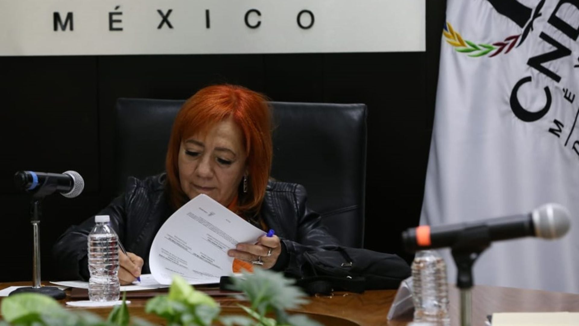 Rosario Piedra propuso eliminar la CNDH y los titulares de las comisiones estatales no respaldan su iniciativa