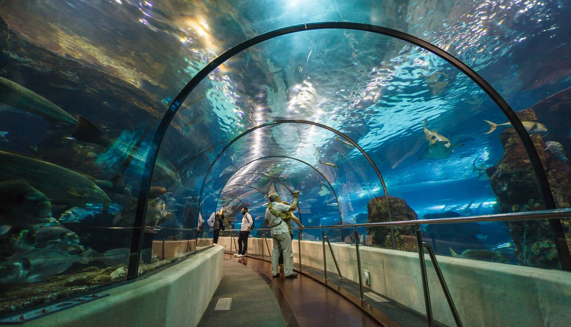 Su túnel transparente de 80 metros permite disfrutar de la experiencia de sentirse como en el interior del océano mediterráneo