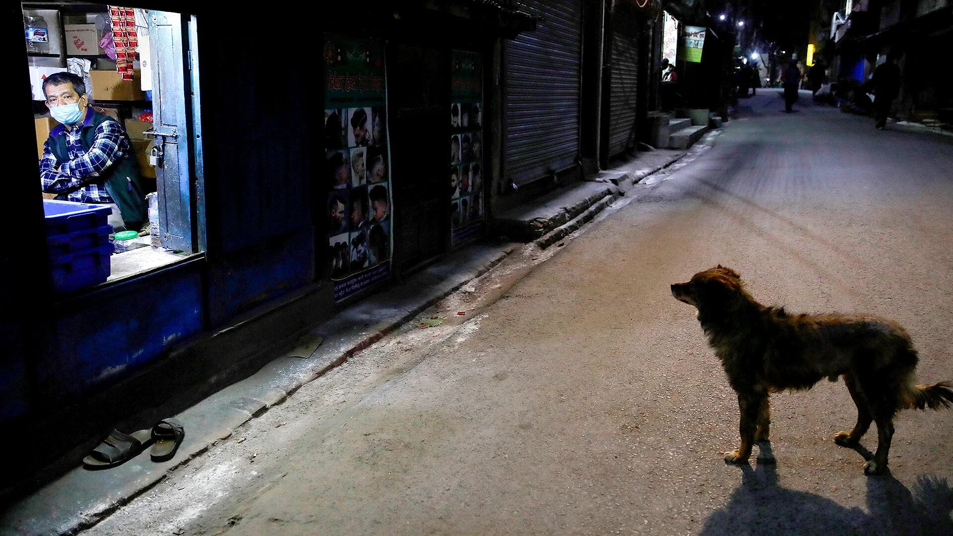 En Nepal, un perro pasea por las calles vacías