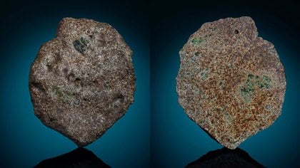 Space rock came from a protoplanet that could reveal new evidence of how the Earth formed