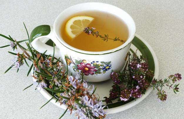 El té de romero es beneficioso para múltiples afecciones (foto: botanical/twitter)