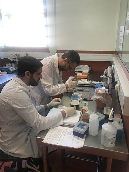 Científicos trabajan en el Instituto Malbrán en el análisis de COVID-19