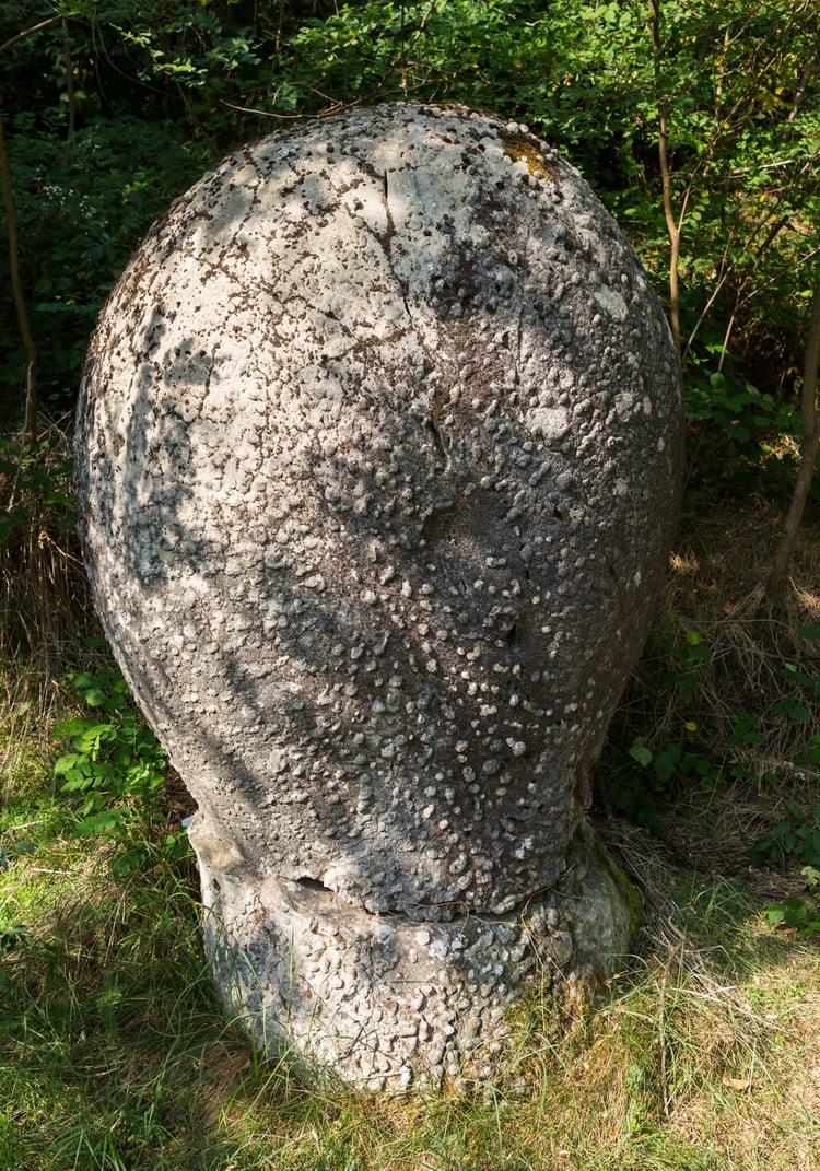 Respiran, crecen y se reproducen: el extraño fenómeno de las piedras vivas de Rumania Trovants-2